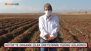 Hüyük’te organik çilek üreticisinin yüzünü güldürdü