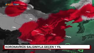 Koronavirüs salgınıyla geçen 1 yıl