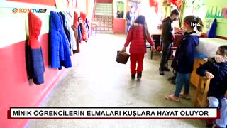 Minik öğrencilerin elmaları kuşlara hayat oluyor