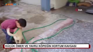 Küçük Ömer ve yavru köpeğin hortum kavgası