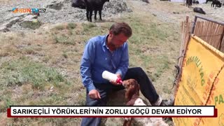 Sarıkeçili Yörükleri’nin zorlu göçü devam ediyor