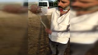 Yakaladığı yılanı böyle sevip öptü, o anlar kameraya yansıdı