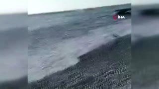 Denizde can pazarı! Boğulma anı kamerada
