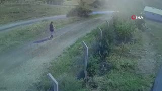 Kaçan kurbanlığı yakalamaya çalışırken kaybolan gencin cansız bedenine ulaşıldı