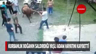 Kurbanlık boğanın saldırdığı yaşlı adam hayatını kaybetti