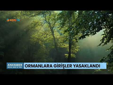 Ormanlara girişler yasaklandı