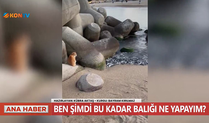 Ben şimdi bu kadar balığı ne yapayım?